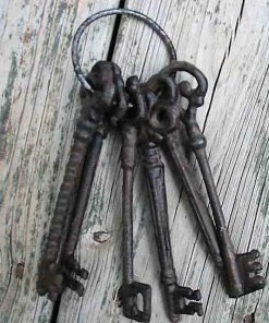 The Birdhouse Chick Cast Iron Skeleton Keys Home & Garden Accents