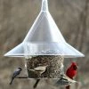 Arundale Mandarin Sky Cafe Squirrel-Proof Feeders
