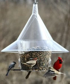 Arundale Mandarin Sky Cafe Squirrel-Proof Feeders