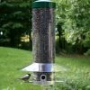 Birds Choice 20-Inch Classic Squirrel Proof Bird Feeder Squirrel-Proof Feeders