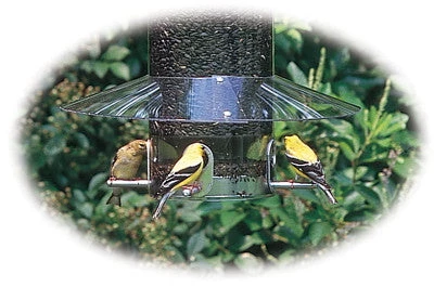 Birds Choice Weather Guard For Classic Bird Feeders Squirrel-Proof Feeders 3 Birds Choice Weather Guard For Classic Bird Feeders Squirrel-Proof Feeders