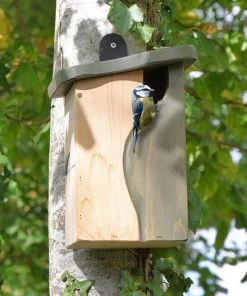 Wildlife World Natural Entry Wood Birdhouse