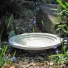 Wildlife World Deck & Ground Bird Baths Oasis Step Bath And Drinker