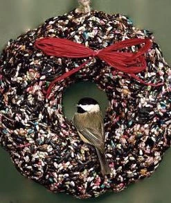 Pine Tree Farms Specialty Foods & Mealworms Large Bird Seed Wreath