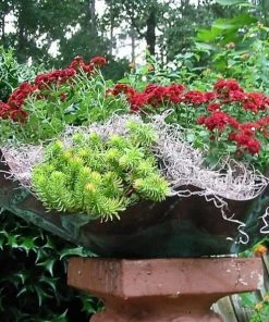 The Birdhouse Chick Patina Copper Planter Or Birdbath All Bird Baths & Accessories