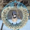 Pine Bush Home & Garden Whole Peanut Wreath Feeder Peanut Feeders