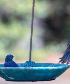 The Birdhouse Chick Unique Bird Feeders Pottery Bird Feeder