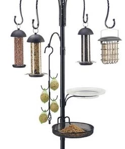 Rainbow Guardman Unique Bird Feeders Complete Bird Feeding Station With Feeders