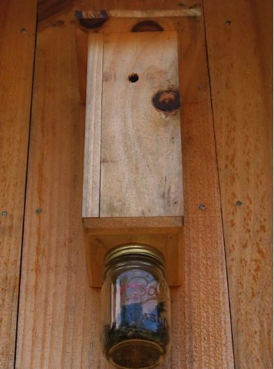 The Birdhouse Chick Pest Deterrents Carpenter Bee Trap 3 The Birdhouse Chick Pest Deterrents Carpenter Bee Trap