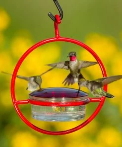 Couronne Red Orb With Perch Hummingbird Feeder