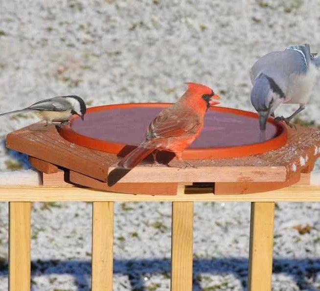Songbird Essentials Deck & Ground Bird Baths Cedar Heated Deck Mount Bird Bath 3 Songbird Essentials Deck & Ground Bird Baths Cedar Heated Deck Mount Bird Bath