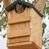 Songbird Essentials Screech Owl House Owl Houses 1 Songbird Essentials Screech Owl House Owl Houses
