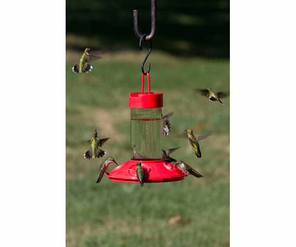Songbird Essentials Dr. JB's Clean Hummingbird Feeder & Hummer Helmet 4 Songbird Essentials Dr. JB's Clean Hummingbird Feeder & Hummer Helmet