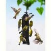 Songbird Essentials Thistle Feeders Finch Magic Thistle Sock - Jumbo