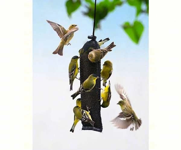 Songbird Essentials Thistle Feeders Finch Magic Thistle Sock - Jumbo 3 Songbird Essentials Thistle Feeders Finch Magic Thistle Sock - Jumbo