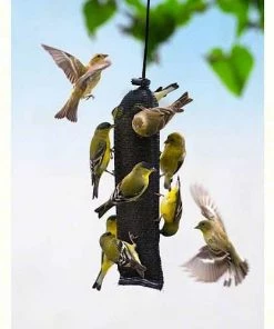 Songbird Essentials Finch Magic Thistle Sock Thistle Feeders