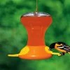 Songbird Essentials Large Capacity Oriole Bird Feeders