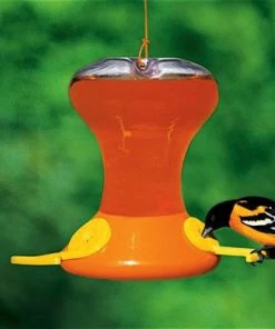 Songbird Essentials Large Capacity Oriole Bird Feeders