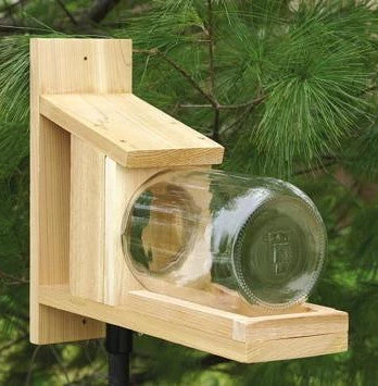 Songbird Essentials Songbird Cedar Squirrel Jar Feeder 3 Songbird Essentials Songbird Cedar Squirrel Jar Feeder
