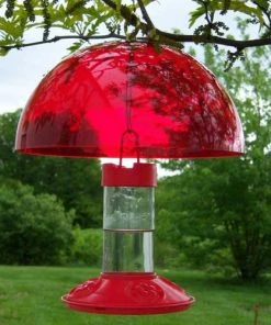 Songbird Essentials Dr. JB's Clean Hummingbird Feeder & Hummer Helmet