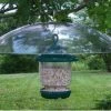 Songbird Essentials Large Hanging Squirrel Baffle 2 Songbird Essentials Large Hanging Squirrel Baffle