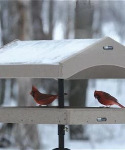 Birds Choice Recycled Pole Topper & Weather Guard