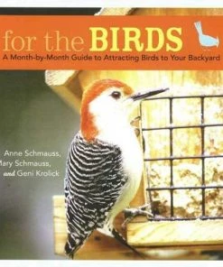 Stokes For The Birds