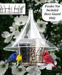 Arundale Sky Cafe With Dividers