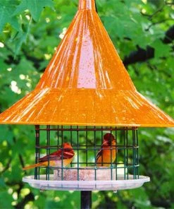 Arundale Sky Cafe Oriole Feeder Fruit, Jelly & Mealworm Feeders