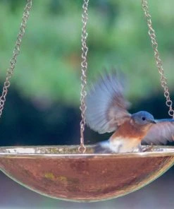 The Birdhouse Chick Solid Copper Hanging Bird Bath, 2 Sizes Hanging Bird Baths