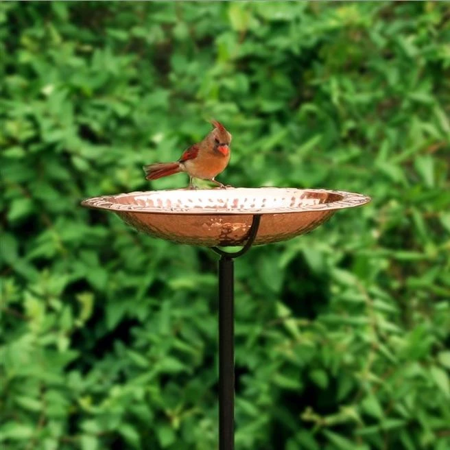 Good Directions Solid Copper Staked Bird Bath- 2 Sizes 3 Good Directions Solid Copper Staked Bird Bath- 2 Sizes