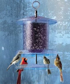 Songbird Essentials Songbird All-Weather Feeder 4 Or 6 Qt. Unique Bird Feeders