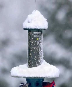 Brome Bird Care Squirrel Buster Plus With Optional Weather Guard Squirrel-Proof Feeders