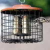Hiatt Manufacturing Suet Feeders Squirrel Proof Double Suet Feeder
