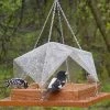 Songbird Essentials Super Tray Bird Feeder With Cover Unique Bird Feeders