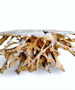 The Birdhouse Chick Teak Root Console Table Home & Garden Accents 9 The Birdhouse Chick Teak Root Console Table Home & Garden Accents