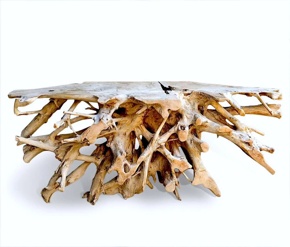 The Birdhouse Chick Teak Root Console Table Home & Garden Accents 5 The Birdhouse Chick Teak Root Console Table Home & Garden Accents