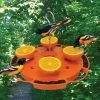 Songbird Essentials Fruit, Jelly & Mealworm Feeders Ultimate Oriole Feeder
