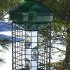 Vari-Crafts Squirrel-Proof Feeders Deluxe Large Capacity Squirrel-Proof Feeder