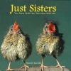 Willow Creek Press Just Sisters Gift Book 2 Willow Creek Press Just Sisters Gift Book