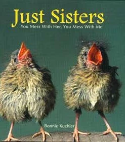 Willow Creek Press Just Sisters Gift Book