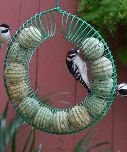 Pine Bush Home & Garden Whole Peanut Wreath Feeder Peanut Feeders