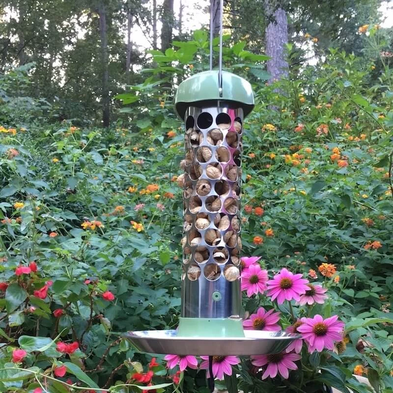 Pine Bush Home & Garden Stainless Steel Whole Peanut Bird Feeder Peanut Feeders 3 Pine Bush Home & Garden Stainless Steel Whole Peanut Bird Feeder Peanut Feeders