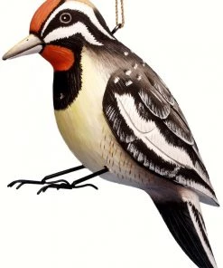 Bobbo Yellow-Belly Sapsucker Wood Birdhouse Unique Birdhouses