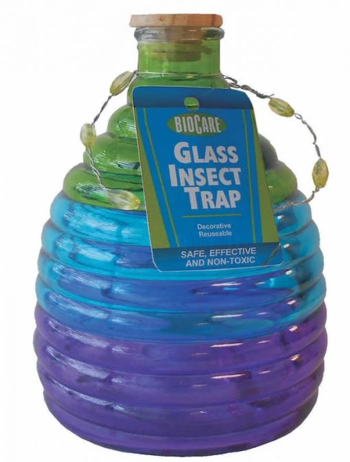 SpringStar Yellow Jacket Glass Trap With 3 Lures