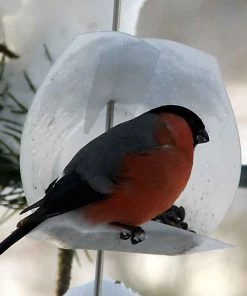 Opossum Design Birdhouse Kits Euro Bird Feeder Kit