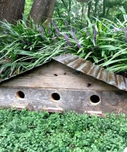 The Birdhouse Chick Vintage Birdie Lodge-3 Nest Birdhouse Unique Birdhouses