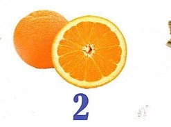 Songbird Essentials Birdie Bell Nester And Feeder Nesting Materials & Roosts 5 Songbird Essentials Birdie Bell Nester And Feeder Nesting Materials & Roosts