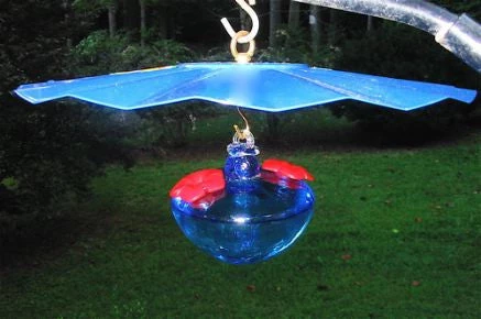 Erva 14-Inch Rain Or Shine Weather Guard-Cobalt Blue 5 Erva 14-Inch Rain Or Shine Weather Guard-Cobalt Blue