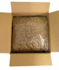 Unipeck Dried Mealworms-Bulk Options Bluebird Feeders